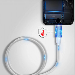 Câble USB-C vers Lightning