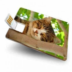 Carte personnalisée USB 8 Go