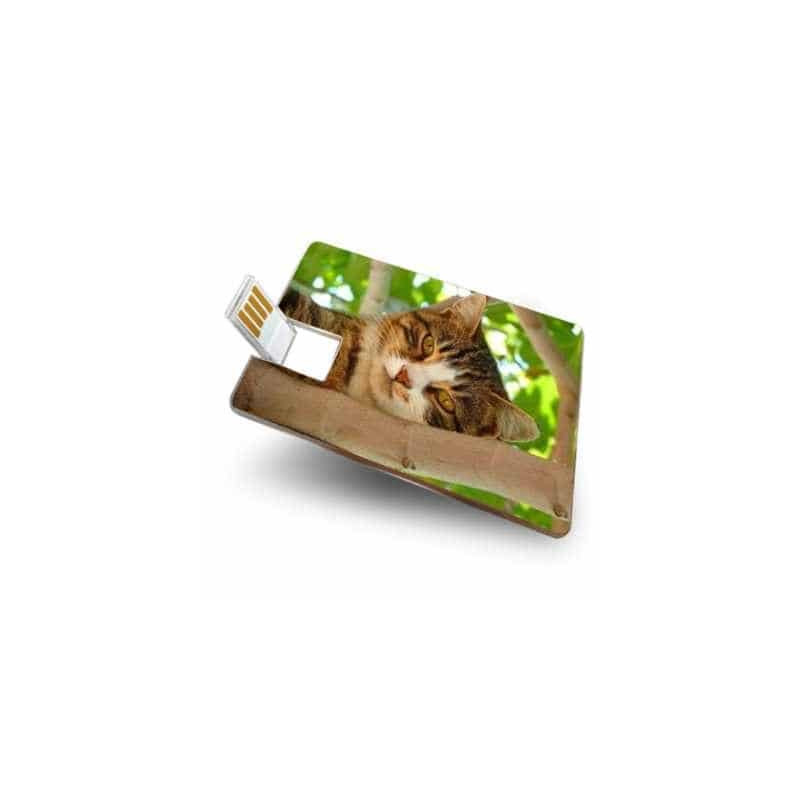 Carte personnalisée USB 8 Go Carte personnalisée USB 8 Go