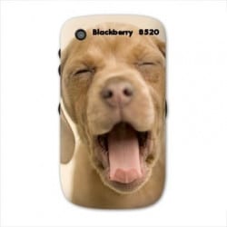 Coque personnalisée pour Blackberry Curve 8520 8530  à l'aide d'une photo