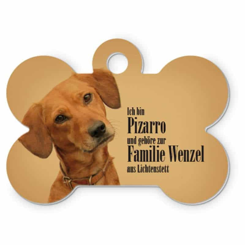Médaille de chien personnalisée Médaille de chien personnalisée